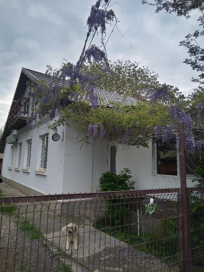 Giurgiu Casa Mocanu מראה חיצוני תמונה