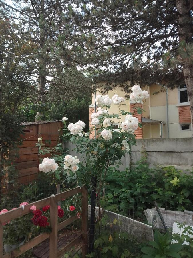 Giurgiu Casa Mocanu מראה חיצוני תמונה