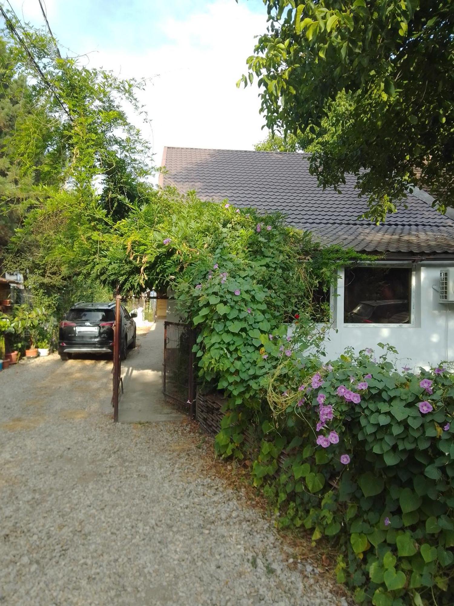 Giurgiu Casa Mocanu מראה חיצוני תמונה
