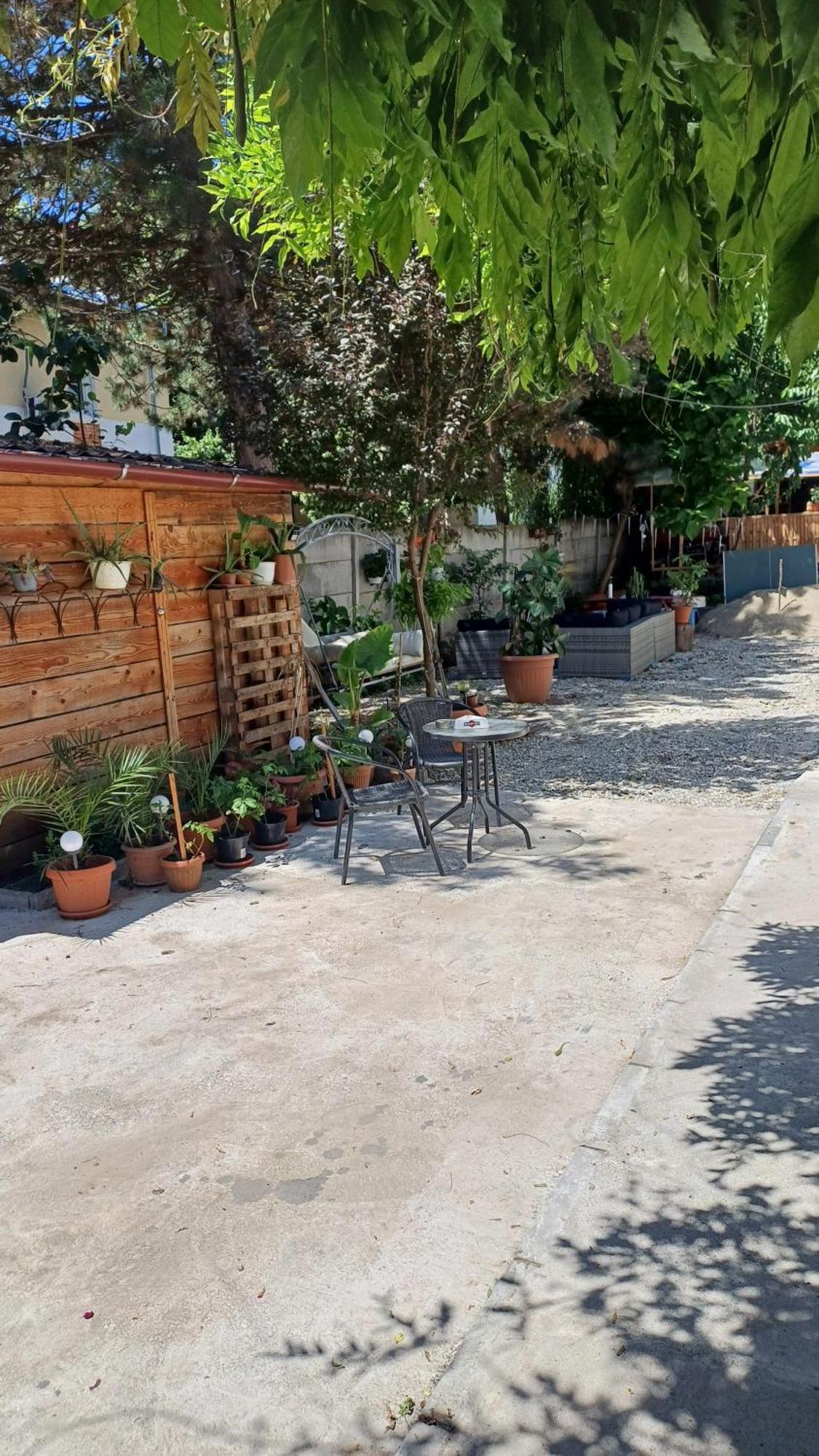 Giurgiu Casa Mocanu מראה חיצוני תמונה